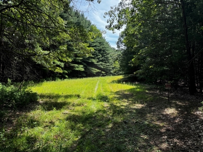 Three Lot Auction, Westfield, Mecan, and Montello Wisconsin - image 2