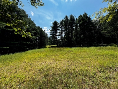 Three Lot Auction, Westfield, Mecan, and Montello Wisconsin - image 20