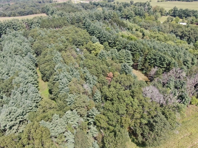 Three Lot Auction, Westfield, Mecan, and Montello Wisconsin - image 5