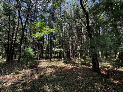 Three Lot Auction, Westfield, Mecan, and Montello Wisconsin - image 42