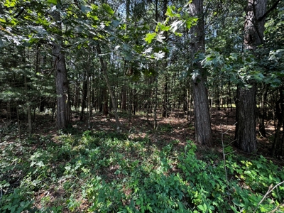Three Lot Auction, Westfield, Mecan, and Montello Wisconsin - image 32