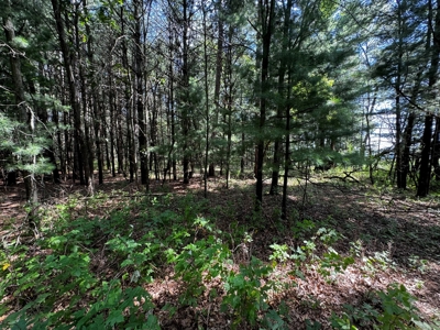 Three Lot Auction, Westfield, Mecan, and Montello Wisconsin - image 44