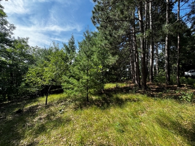 Three Lot Auction, Westfield, Mecan, and Montello Wisconsin - image 18