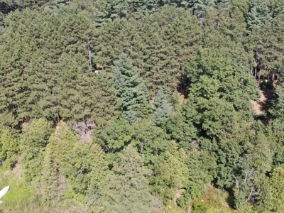 Three Lot Auction, Westfield, Mecan, and Montello Wisconsin - image 15