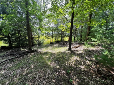 Three Lot Auction, Westfield, Mecan, and Montello Wisconsin - image 20