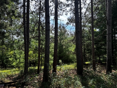 Three Lot Auction, Westfield, Mecan, and Montello Wisconsin - image 31