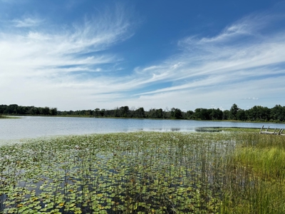 Three Lot Auction, Westfield, Mecan, and Montello Wisconsin - image 4