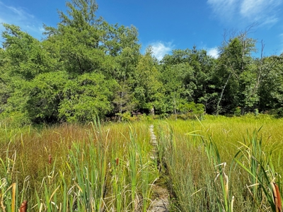 Three Lot Auction, Westfield, Mecan, and Montello Wisconsin - image 29
