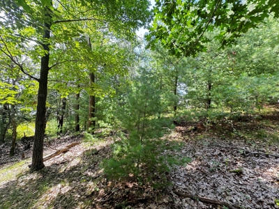 Three Lot Auction, Westfield, Mecan, and Montello Wisconsin - image 21