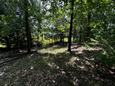 Three Lot Auction, Westfield, Mecan, and Montello Wisconsin - image 19