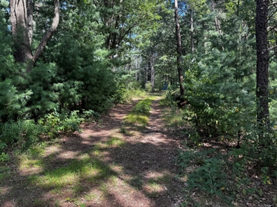 Three Lot Auction, Westfield, Mecan, and Montello Wisconsin - image 30