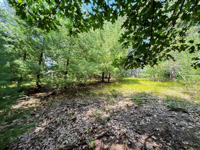 Three Lot Auction, Westfield, Mecan, and Montello Wisconsin - image 22