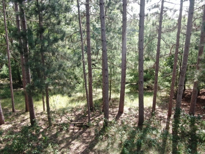 Three Lot Auction, Westfield, Mecan, and Montello Wisconsin - image 16