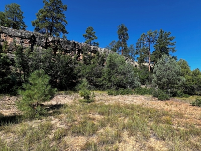 Land for sale with no CCR's in a gated Community - image 7