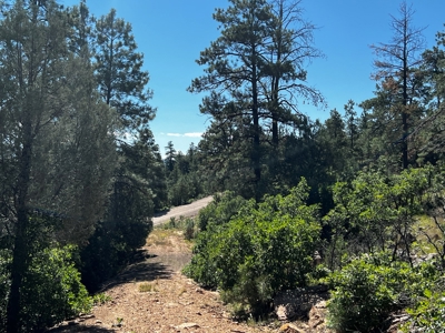 Land for sale with no CCR's in a gated Community - image 6