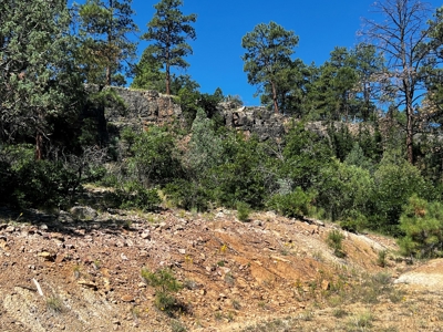 Land for sale with no CCR's in a gated Community - image 5