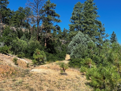 Land for sale with no CCR's in a gated Community - image 2