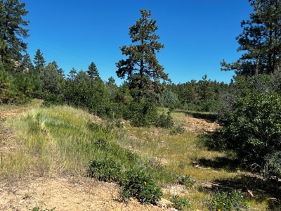 Land for sale with no CCR's in a gated Community - image 4