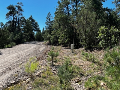 Land for sale with no CCR's in a gated Community - image 3