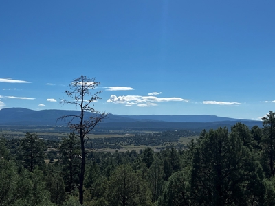 Land for sale with no CCR's in a gated Community - image 12