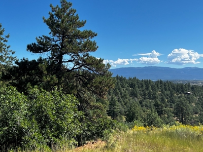 Land for sale with no CCR's in a gated Community - image 9