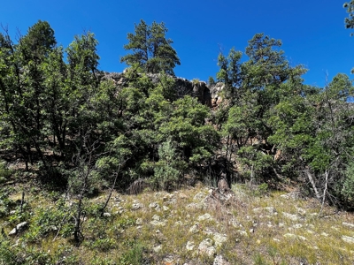 Land for sale with no CCR's in a gated Community - image 8
