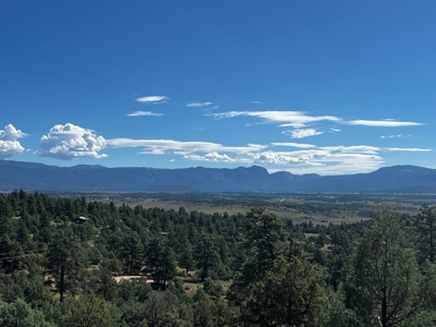 Land for sale with no CCR's in a gated Community - image 10