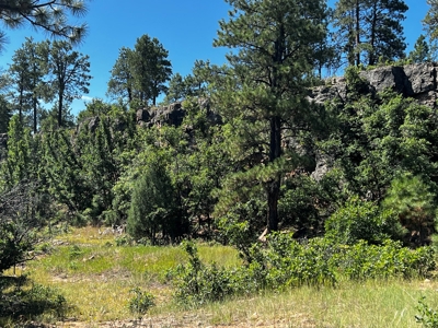 Land for sale with no CCR's in a gated Community - image 11