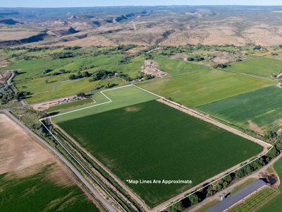 Olathe Irrigated Farm Land for Sale - image 2