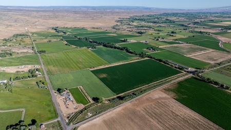 Olathe Irrigated Farm Land for Sale - image 5