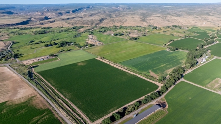 Olathe Irrigated Farm Land for Sale - image 8