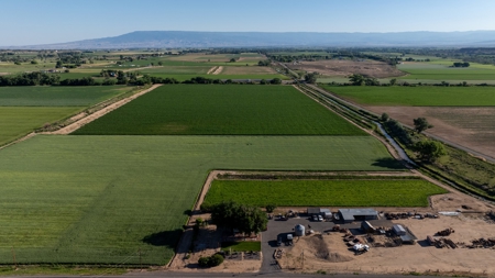 Olathe Irrigated Farm Land for Sale - image 11
