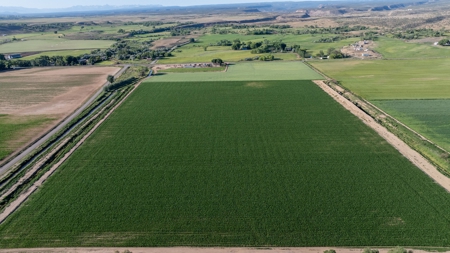Olathe Irrigated Farm Land for Sale - image 10