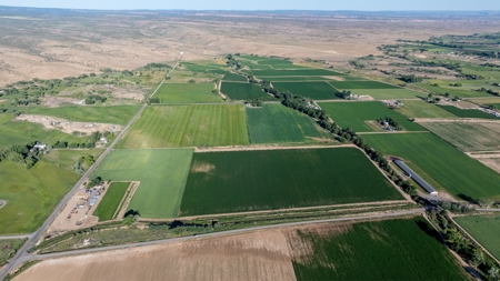 Olathe Irrigated Farm Land for Sale - image 6