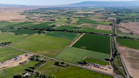 Olathe Irrigated Farm Land for Sale - image 4