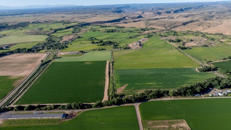Olathe Irrigated Farm Land Hay Production For Sale - image 8
