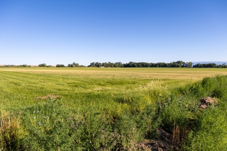 Olathe Irrigated Farm Land Hay Production For Sale - image 7