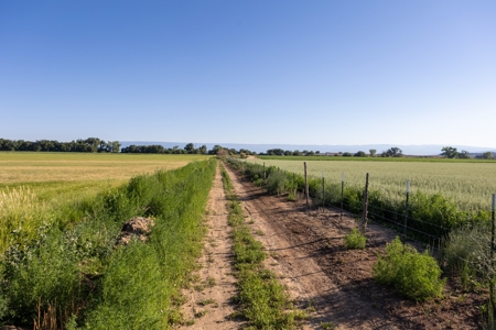 Olathe Irrigated Farm Land Hay Production For Sale - image 6