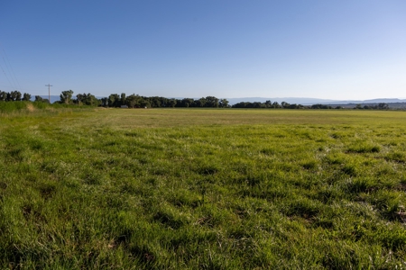 Olathe Irrigated Farm Land Hay Production For Sale - image 3