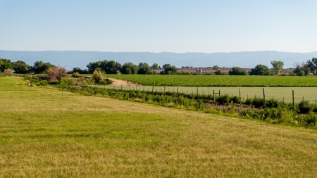 Olathe Irrigated Farm Land Hay Production For Sale - image 14