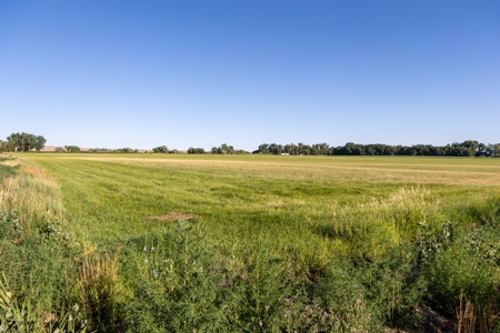 Olathe Irrigated Farm Land Hay Production For Sale - image 5
