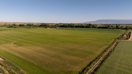Olathe Irrigated Farm Land Hay Production For Sale - image 11