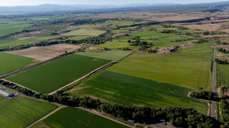 Olathe Irrigated Farm Land Hay Production For Sale - image 9