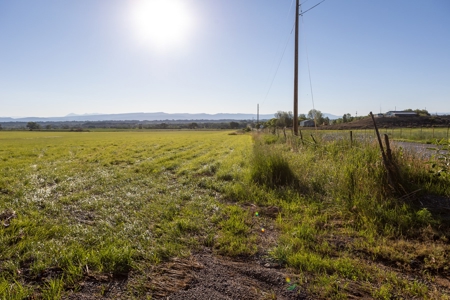 Olathe Irrigated Farm Land Hay Production For Sale - image 4