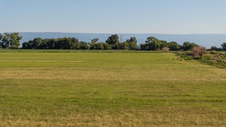 Olathe Irrigated Farm Land Hay Production For Sale - image 13