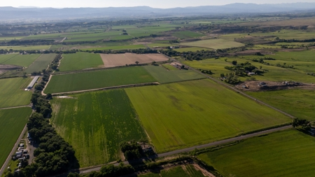Olathe Irrigated Farm Land Hay Production For Sale - image 10