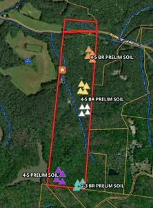 99 Acre Dream Property in Leipers Fork Tennessee Community - image 40