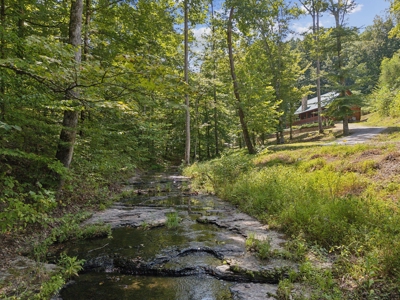 99 Acre Dream Property in Leipers Fork Tennessee Community - image 1