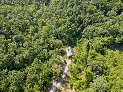 99 Acre Dream Property in Leipers Fork Tennessee Community - image 38