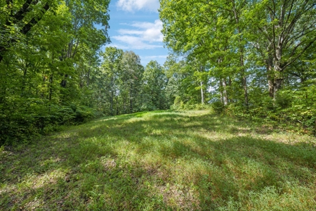 99 Acre Dream Property in Leipers Fork Tennessee Community - image 29